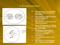 CELL DIVISION AND REPRODUCTION IN PLANTS (1).pptx
